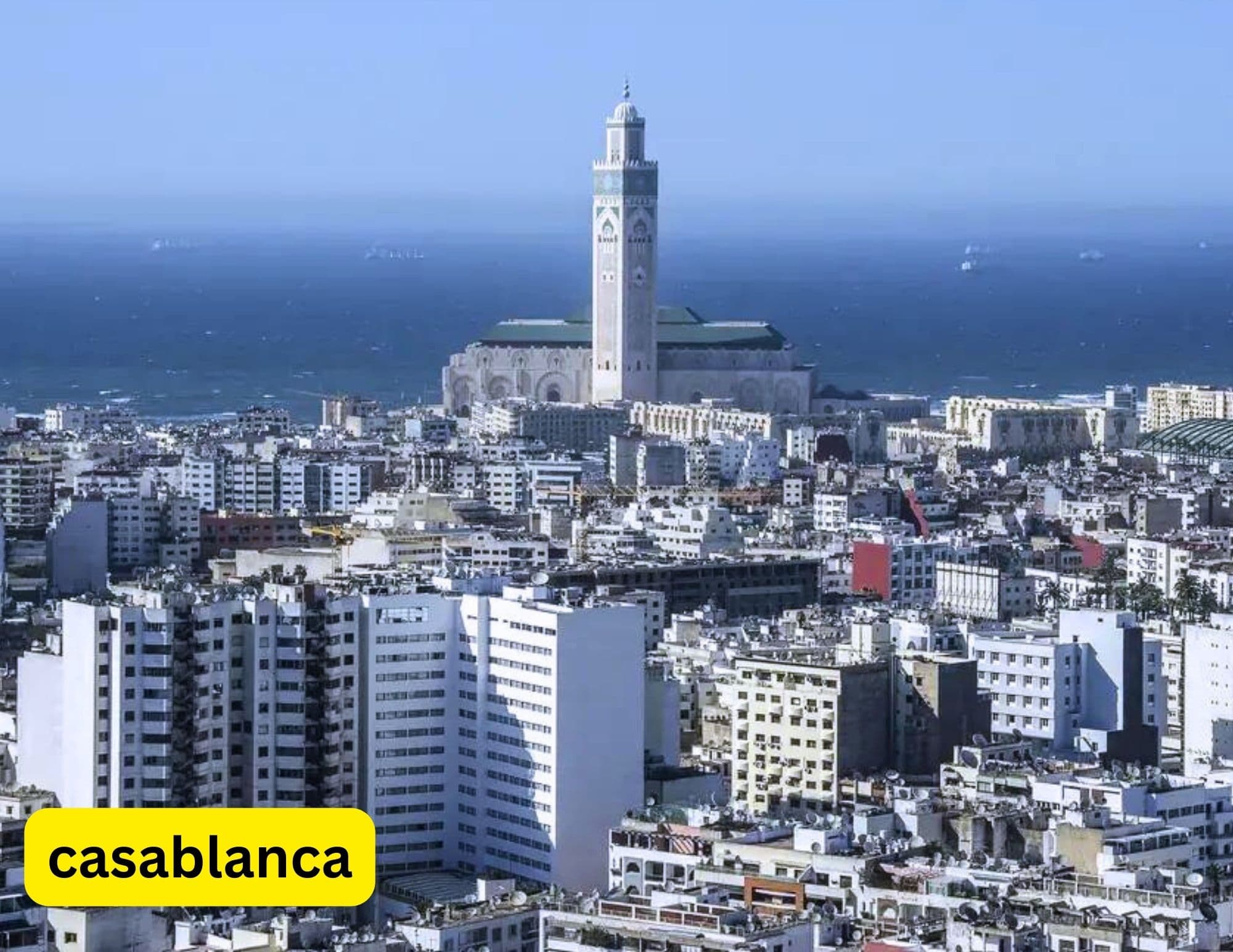 Étapes par Étapes : Comment Immatriculer une Société à Casablanca